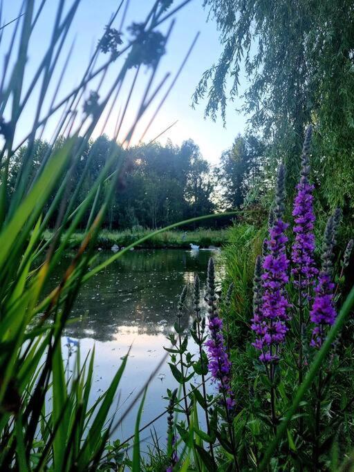La Villa D'Aurel De 140M2, 2 Hectares De Nature Fruges Zewnętrze zdjęcie
